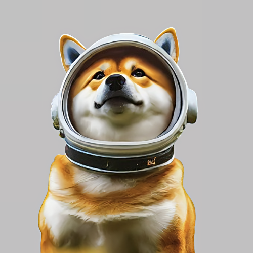 Galactic Shiba Icon